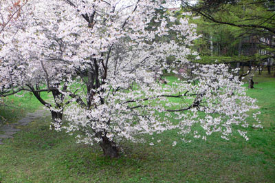 a0046429_2091840.jpg