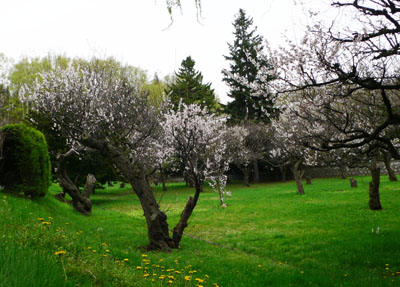 a0046429_2093839.jpg