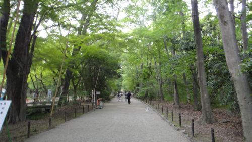b0004229_225118.jpg