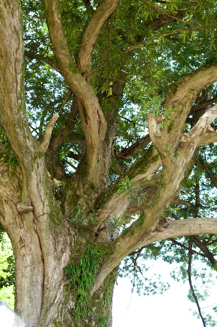 c0093131_2148670.jpg