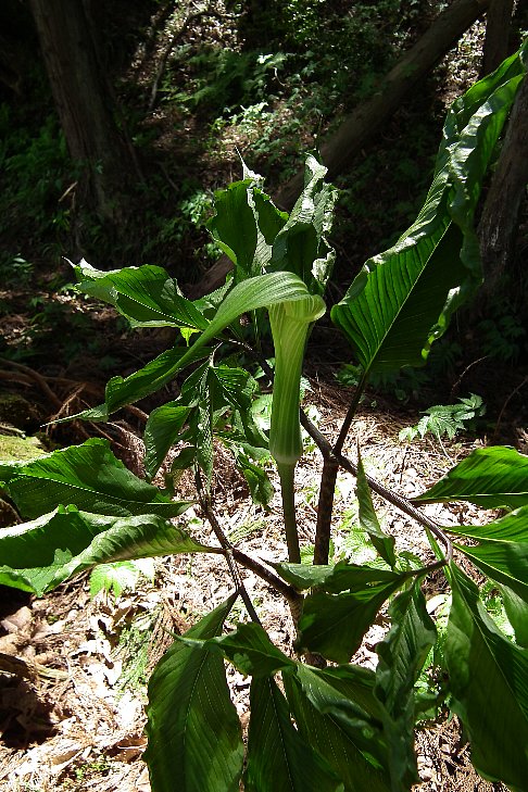 f0118332_21144286.jpg