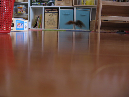 b0138734_1023811.jpg