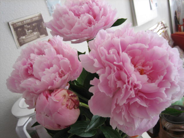 b0167334_16504536.jpg
