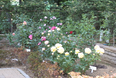 f0214837_22245841.jpg