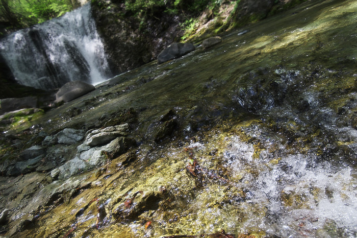 c0211639_1652717.jpg