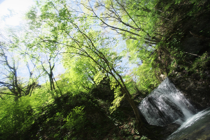 c0211639_1655645.jpg