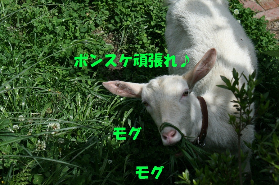 d0077740_23534435.jpg