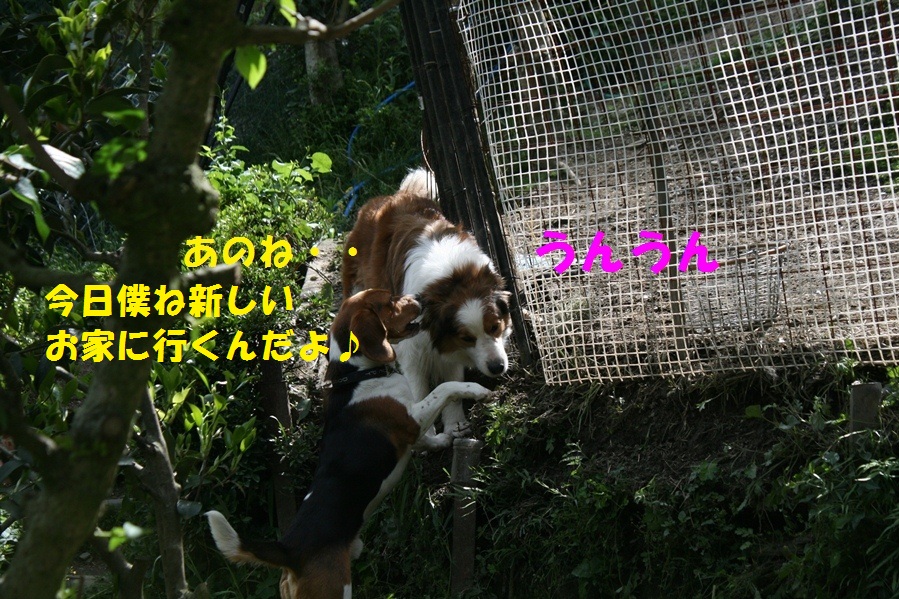 d0077740_23544866.jpg