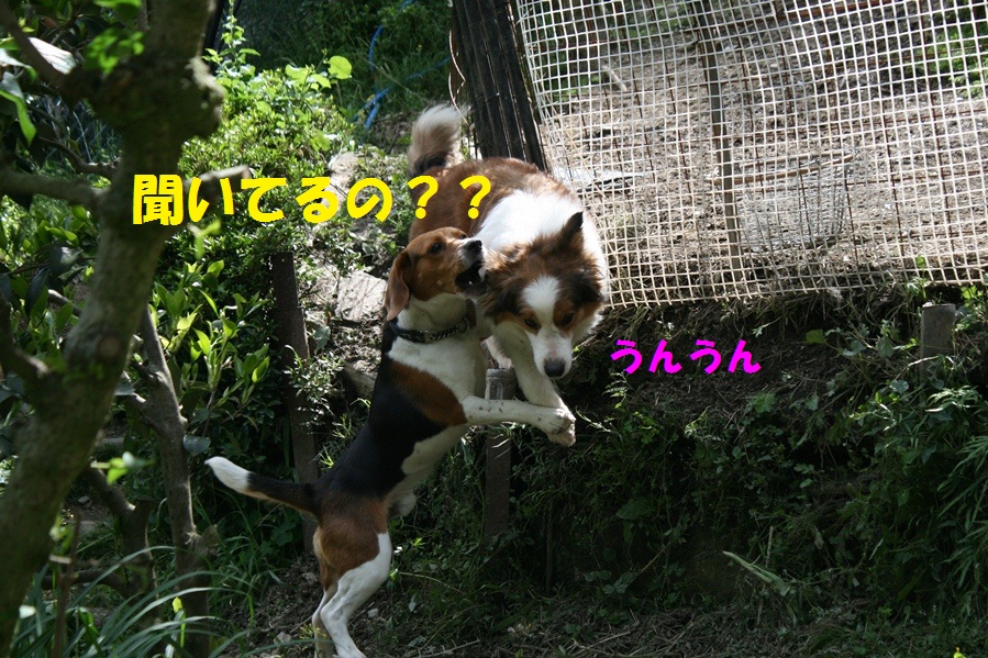 d0077740_23551293.jpg