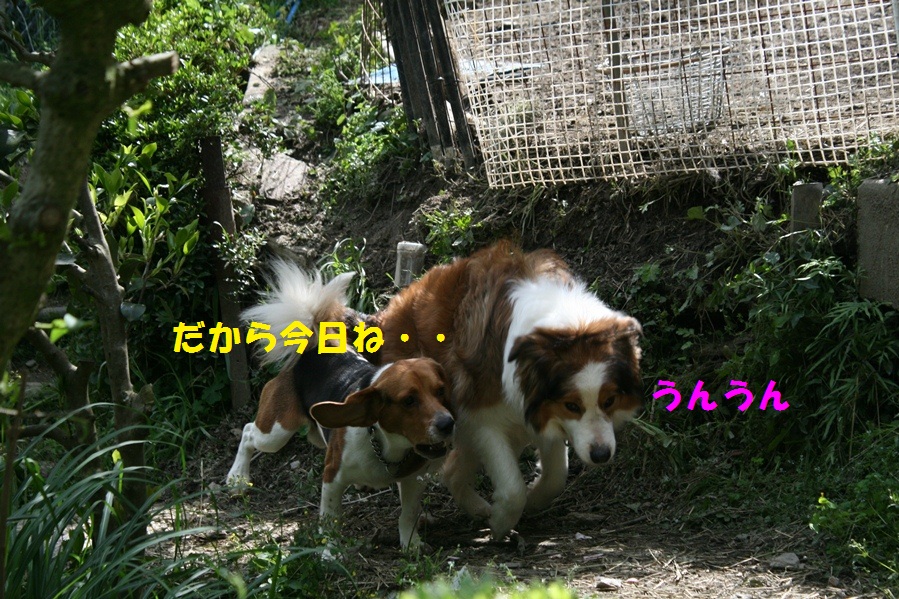 d0077740_23561728.jpg