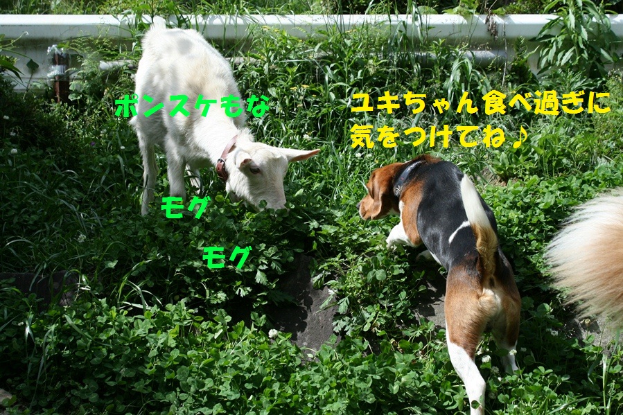 d0077740_2358245.jpg