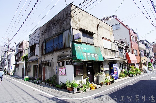 a0009142_036181.jpg