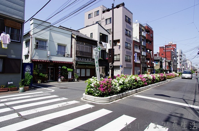 a0009142_0364891.jpg