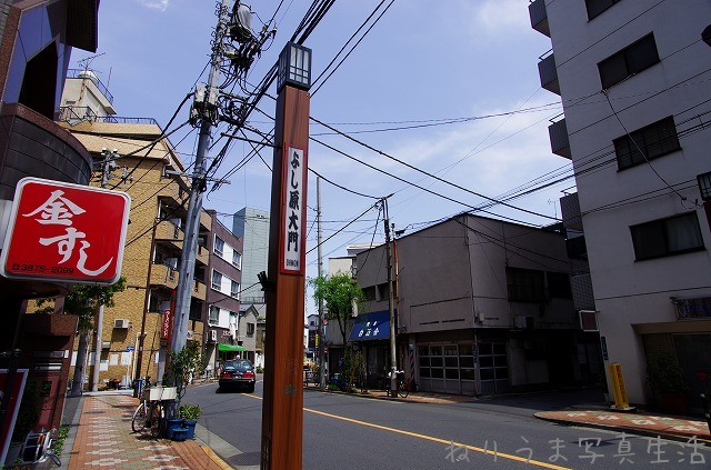 a0009142_037312.jpg