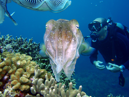 f0014842_1724751.jpg