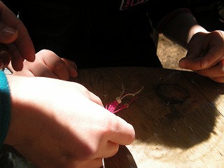 b0157246_8155629.jpg