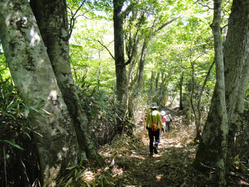 c0179351_20124676.jpg