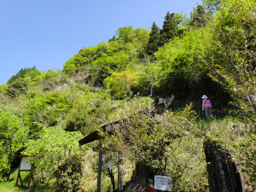 c0179351_209285.jpg