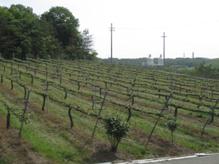 f0234452_15482526.jpg