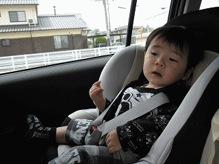 d0031853_347795.gif