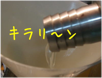 d0151154_991482.jpg