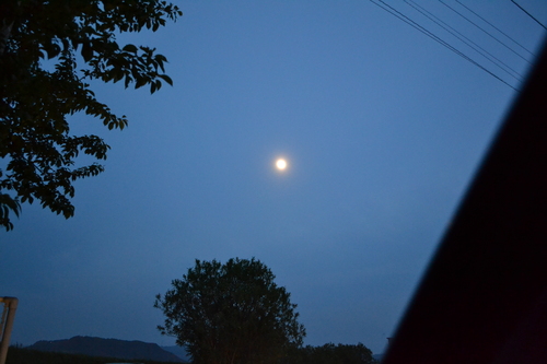 c0151756_156349.jpg