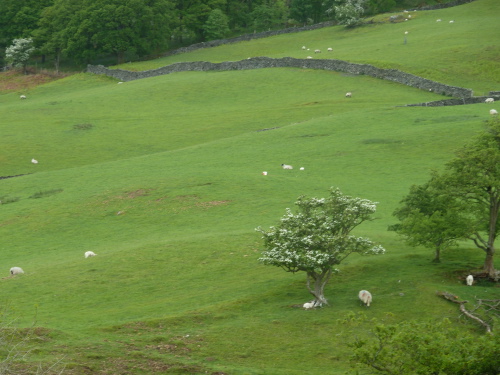 e0176457_2002067.jpg