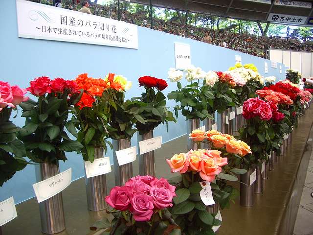 a0066965_2312485.jpg