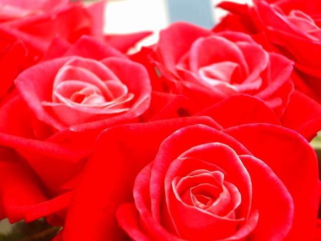 a0066965_2313188.jpg