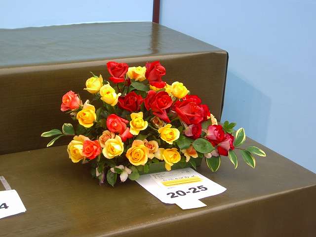a0066965_2345283.jpg