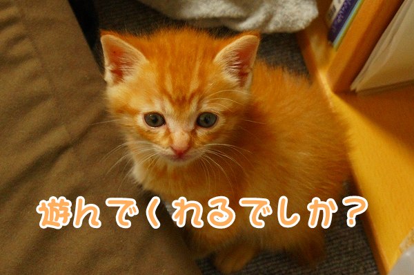 a0201967_22049100.jpg
