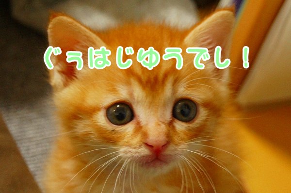 a0201967_2212310.jpg