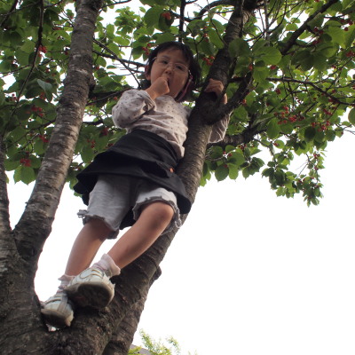 c0122670_8125970.jpg