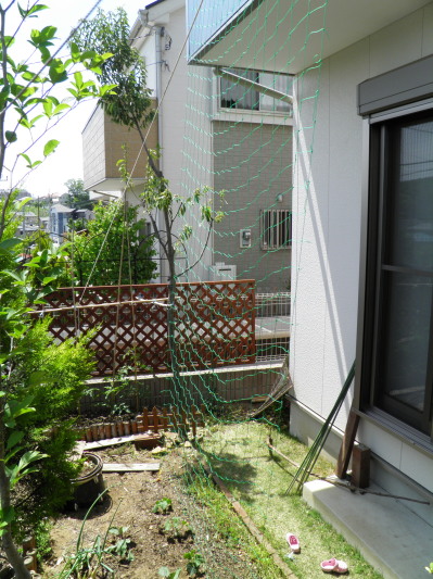 c0122670_89817.jpg