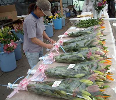 e0097770_12384437.jpg