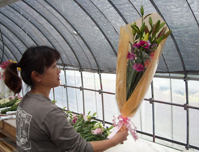 e0097770_1240273.jpg