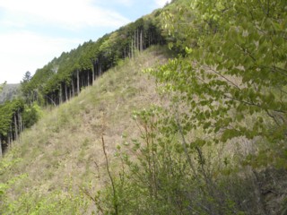 d0134473_1415870.jpg