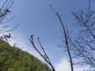 d0134473_14183128.jpg