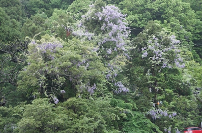 c0163878_15161355.jpg
