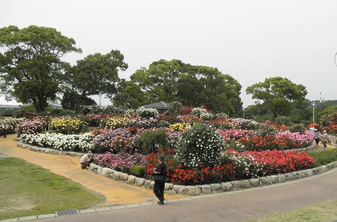 f0101679_2181542.jpg
