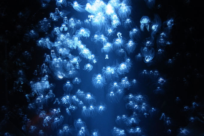 e0082981_21183523.jpg