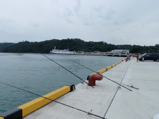 a0007388_6365926.jpg