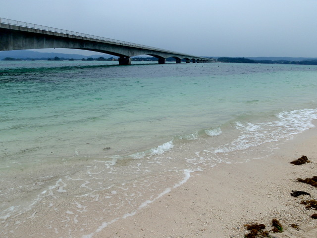 a0007388_6423384.jpg