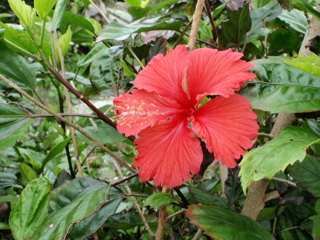 a0007388_6424581.jpg