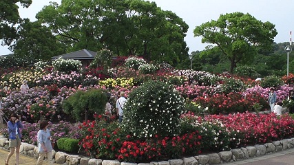 b0128589_9135143.jpg