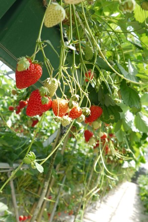 e0231290_9204088.jpg