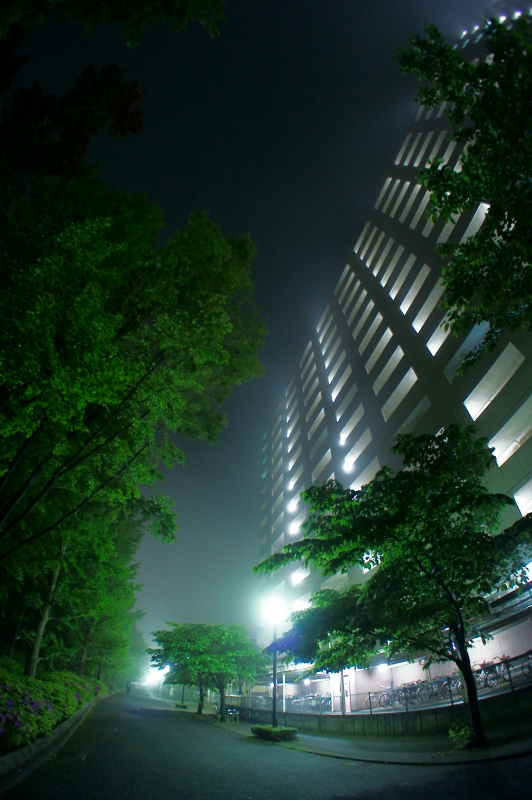 a0185693_6483068.jpg