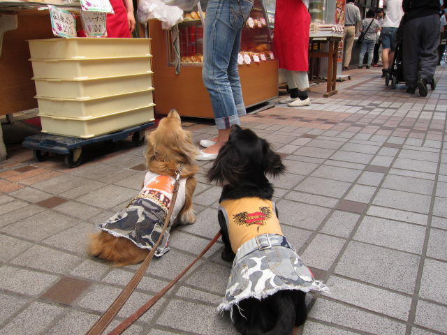 d0098295_16525427.jpg