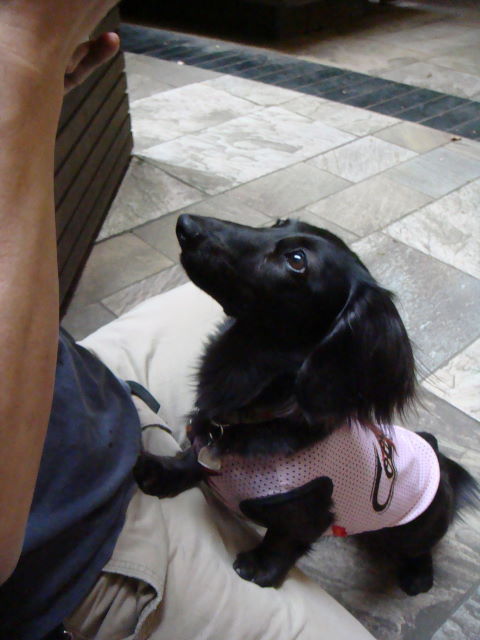 d0098295_178195.jpg