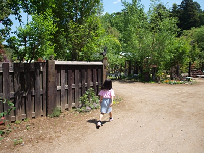b0183497_021967.jpg